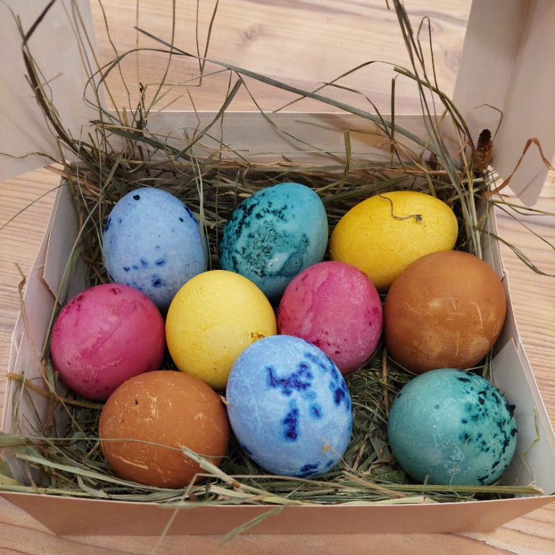 Kochkurs Dampfgaren für Anfänger