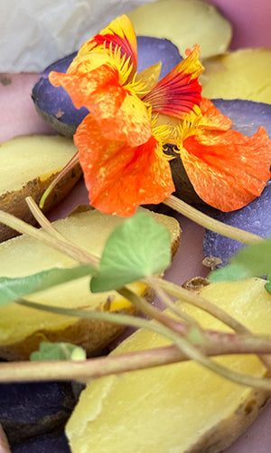 Erpfi Kistn - vegetarisch