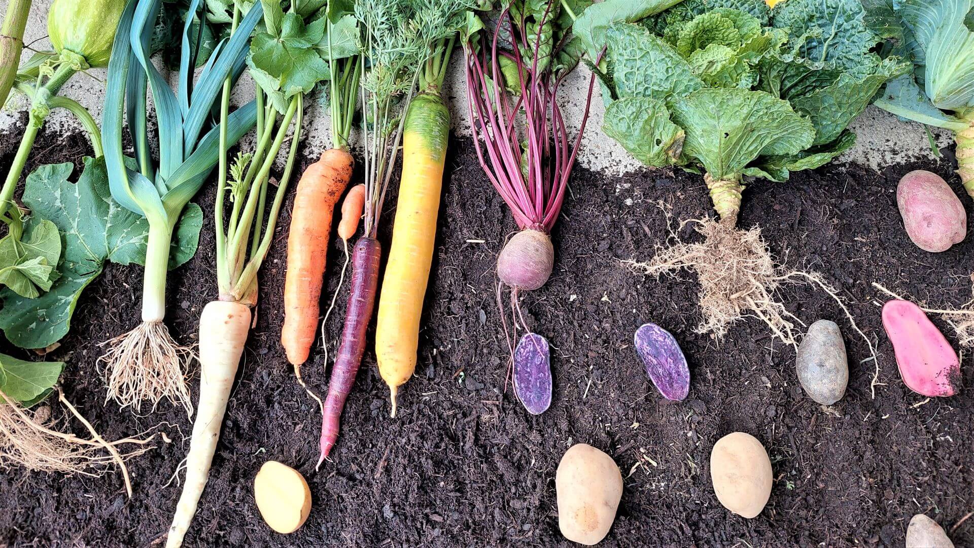 Regionale Produkte aus dem Waldviertel
– Wurmhof Thaller