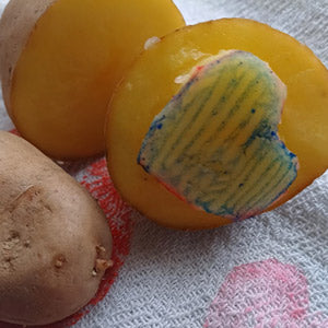 Kartoffeldruck ist kein Püree - Ferienspiel