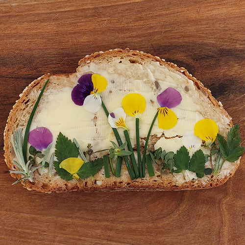 Kartoffeldruck ist kein Püree - Ferienspiel