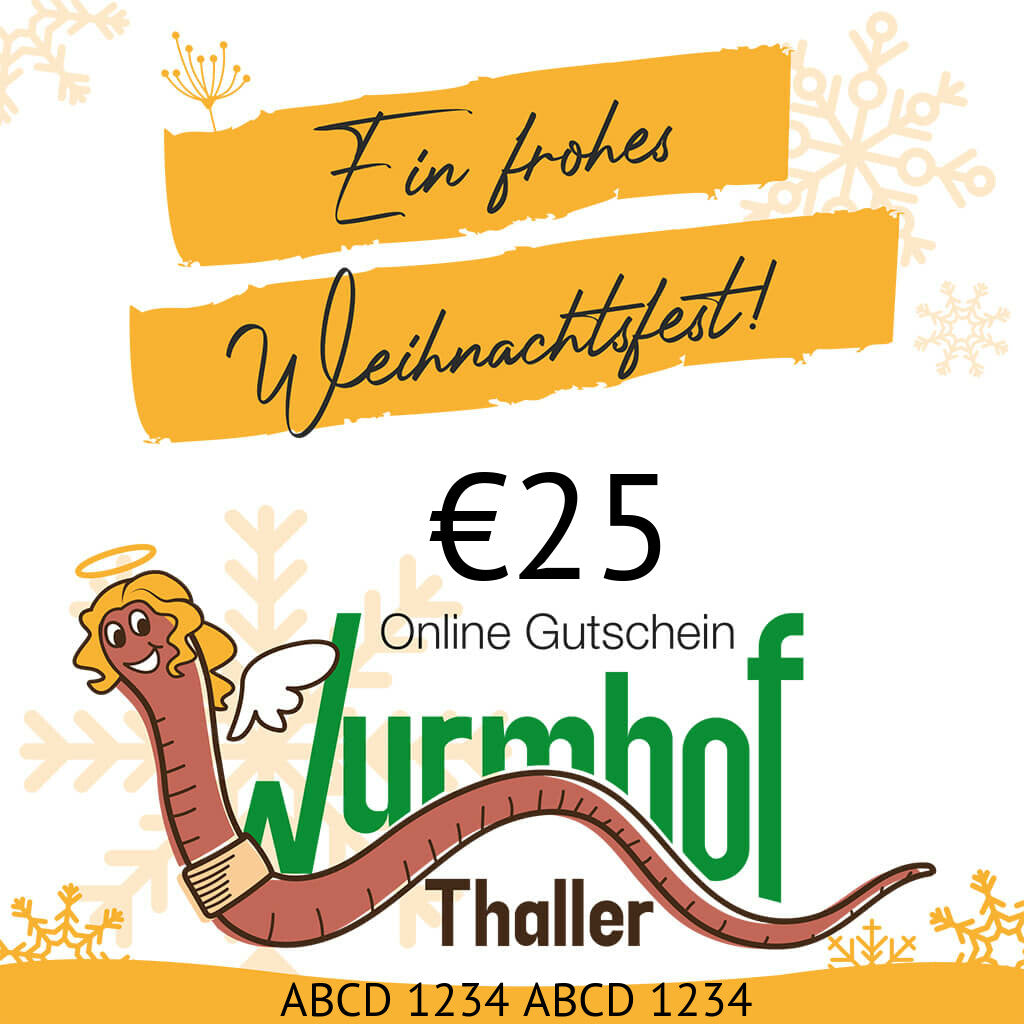 Weihnachts-Gutschein zum Verschenken