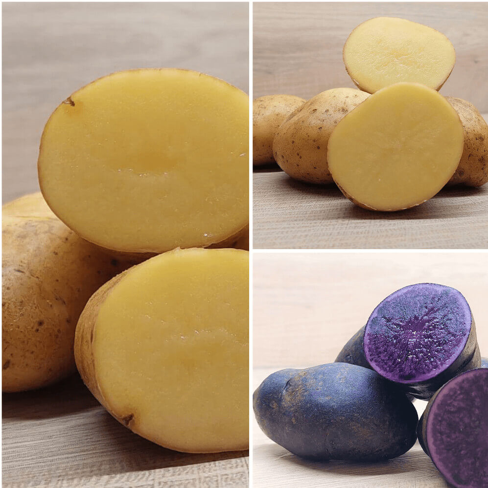 Vielfalt Paket der Kartoffel in Abwechslung | Wurmhof Küche Bio mehr – Thaller