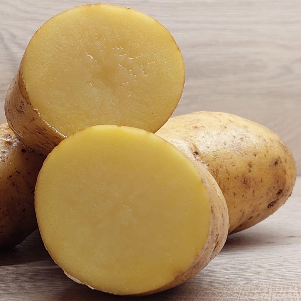 Festkochende Bio Ofenkartoffeln Ditta riesig Wurmhof Thaller