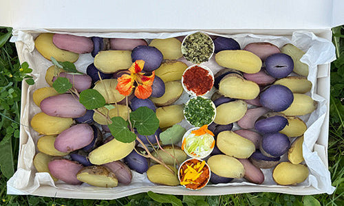 Erpfi Kistn - vegetarisch