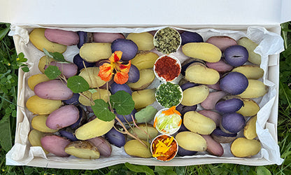 Erpfi Kistn - vegetarisch