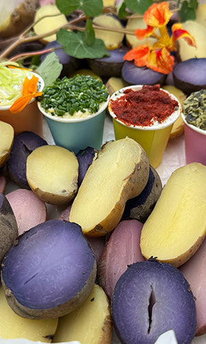 Erpfi Kistn - vegetarisch