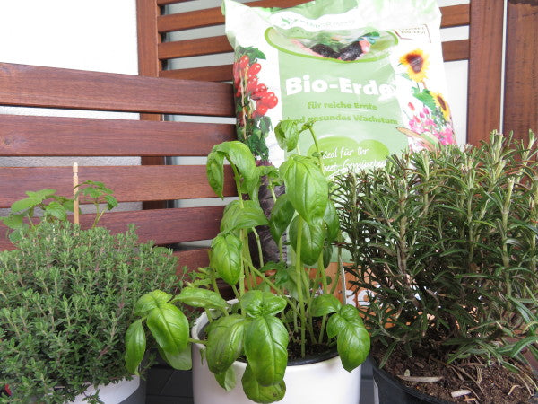 Bio Gartenerde kaufen Kräuter und Gemüsebeet