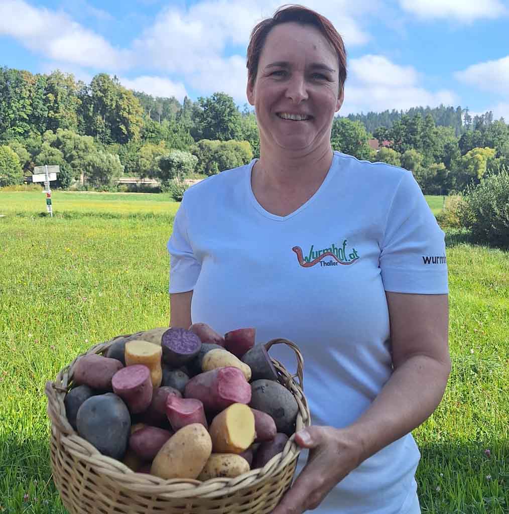 Buntes Bio Erdäpfel Vielfalt Paket