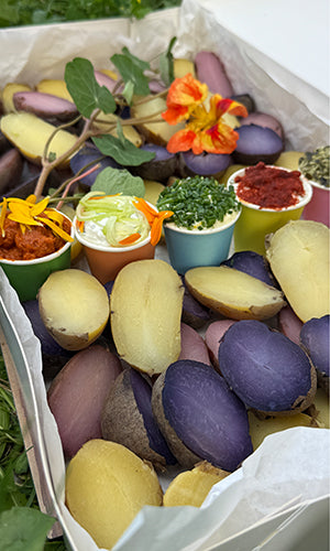 Erpfi Kistn - vegetarisch