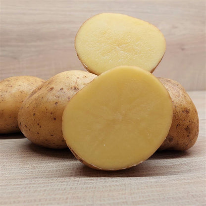 Bio Erdäpfel Mehlige Kartoffeln  Melody